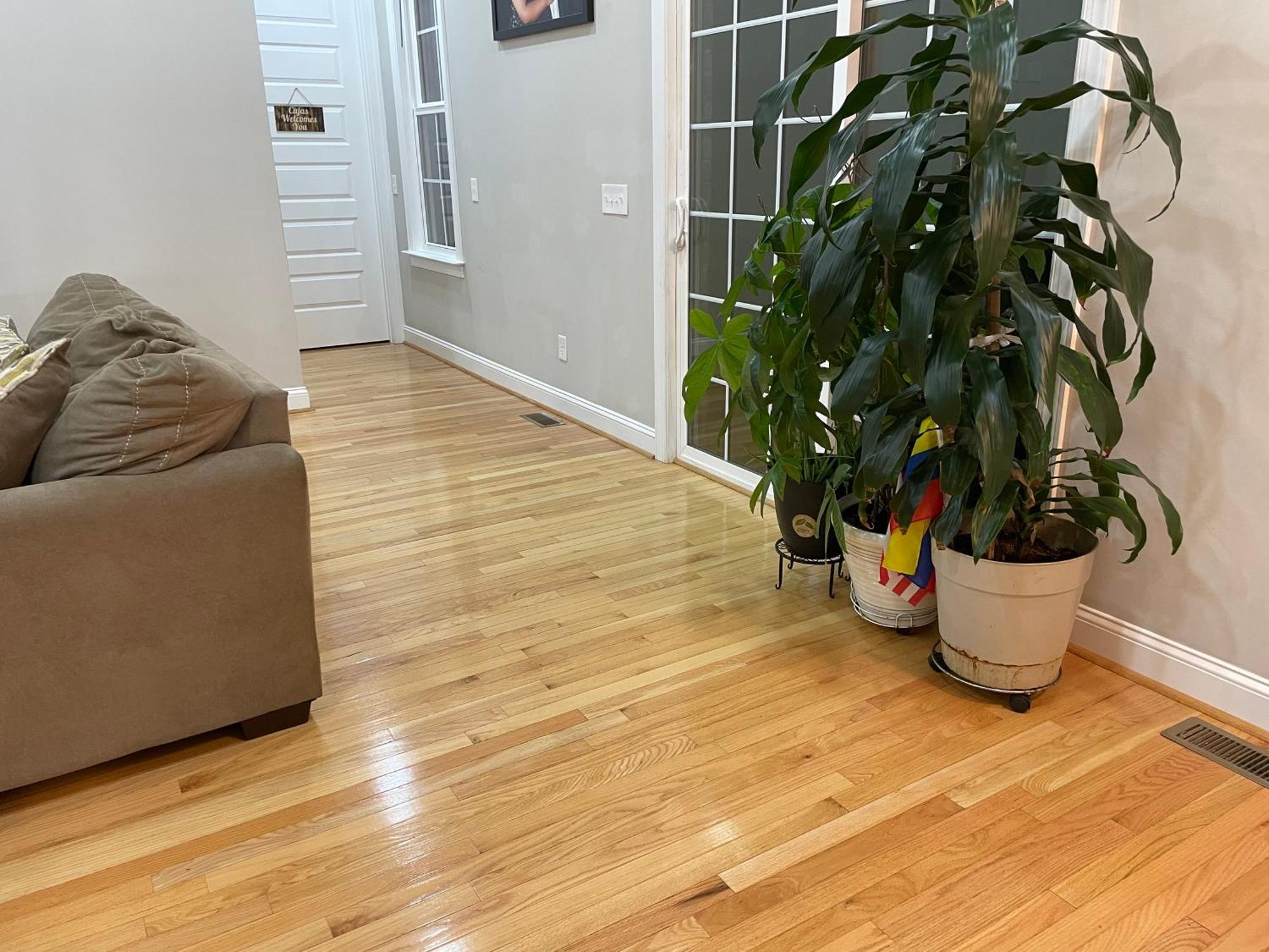 Appartement La Casa Grande Hosting à Whitsett Extérieur photo